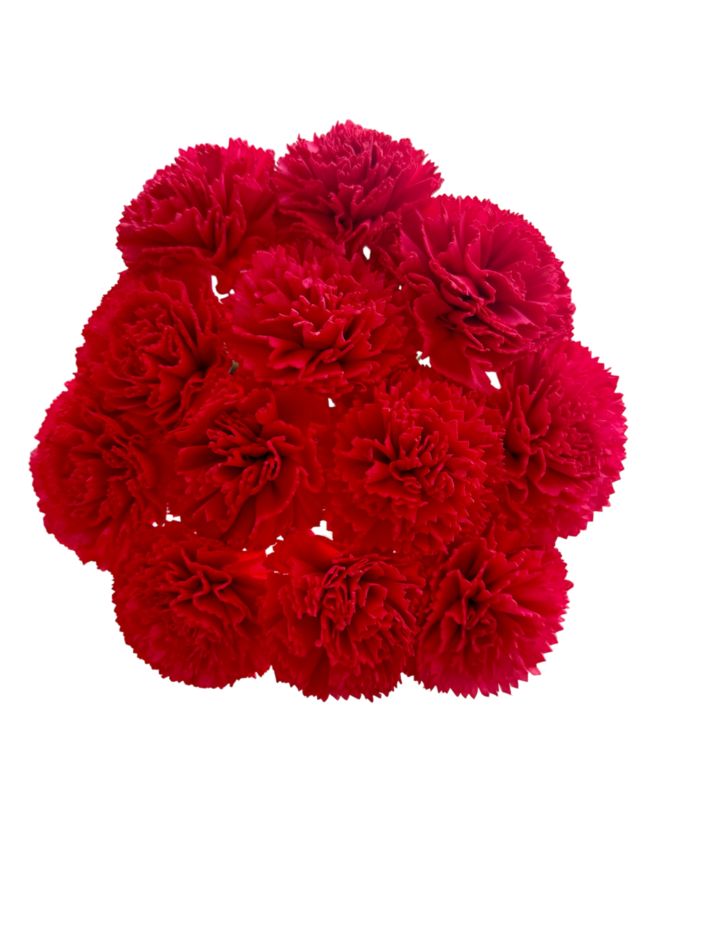 Crimson Carnations Wood Flowers