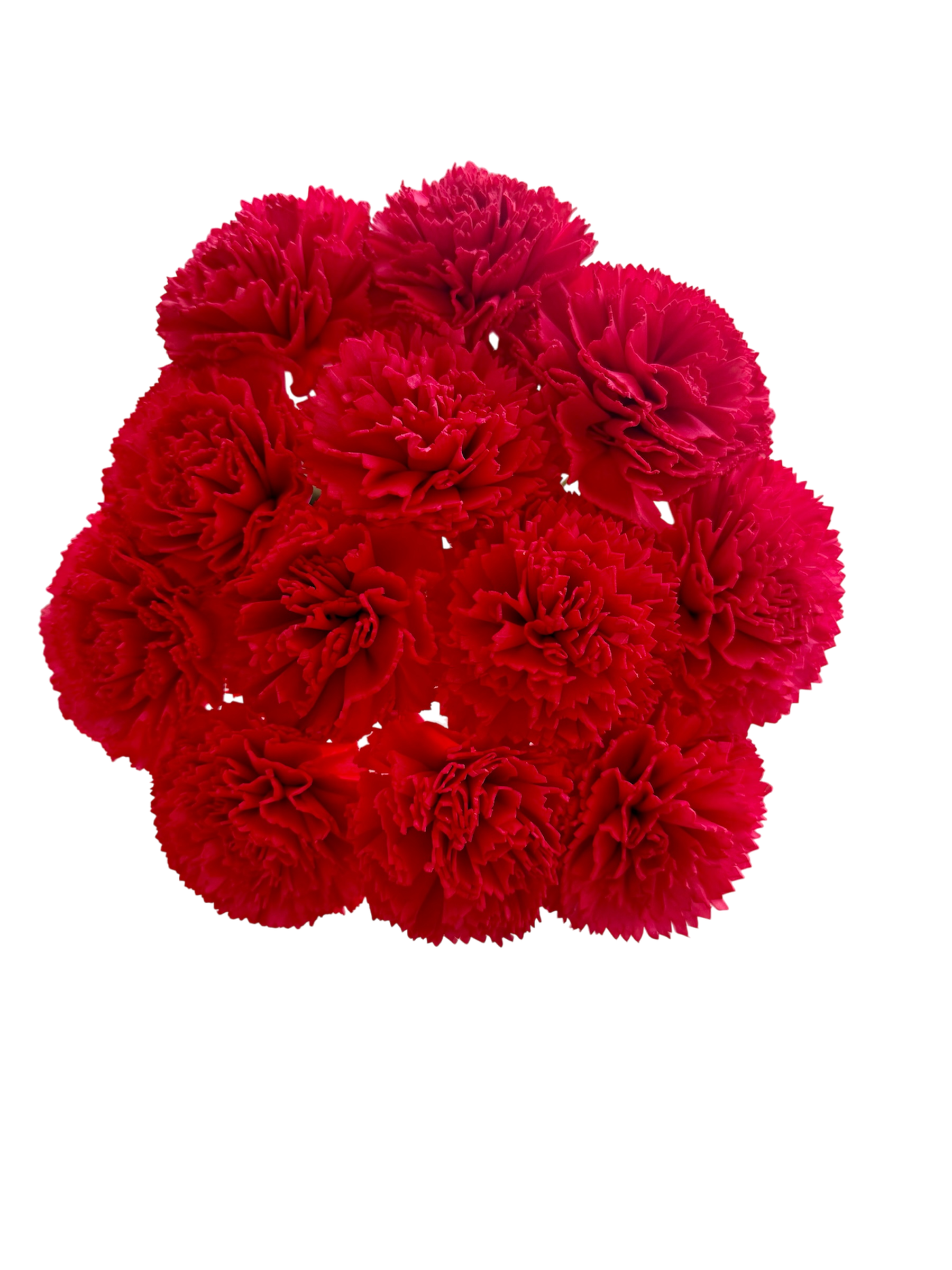 Crimson Carnations Wood Flowers