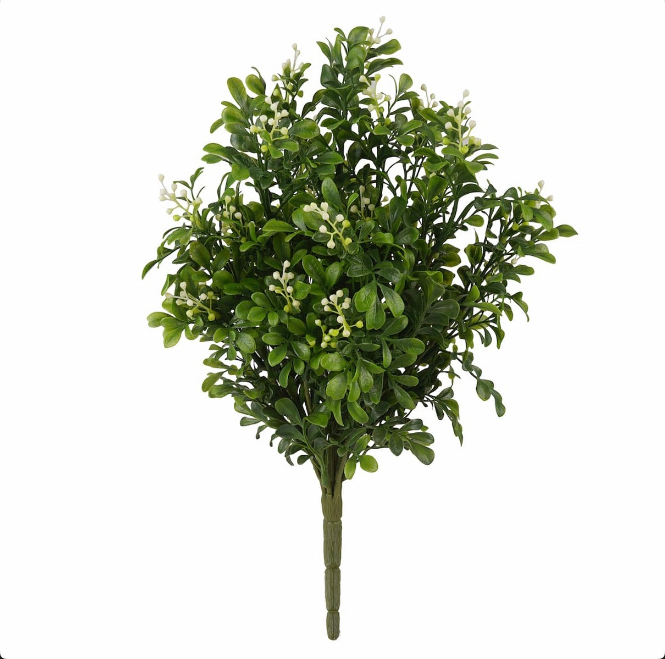 Boxwood & Berries Bush Greenery Add On
