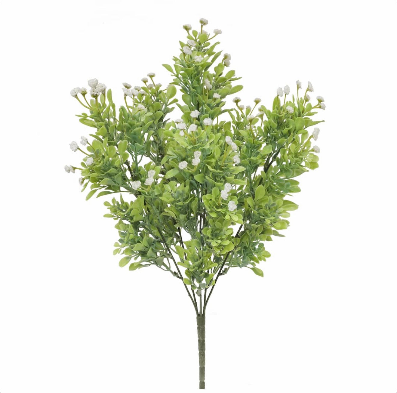 Cream Baby's Breath & Boxwood Bush Greenery Add On